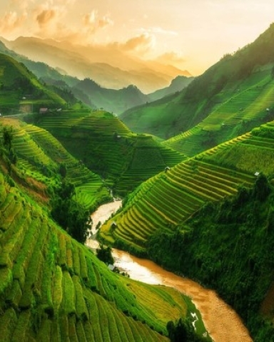 Du Học Châu Á