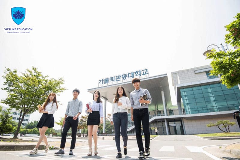 Du học Hàn Quốc bậc Trung học là cơ hội để bạn có thể học tiếp lên Đại học